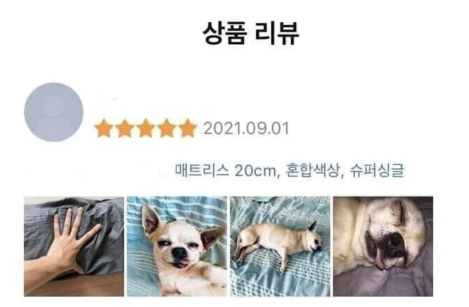 신뢰가 가는 매트리스 리뷰