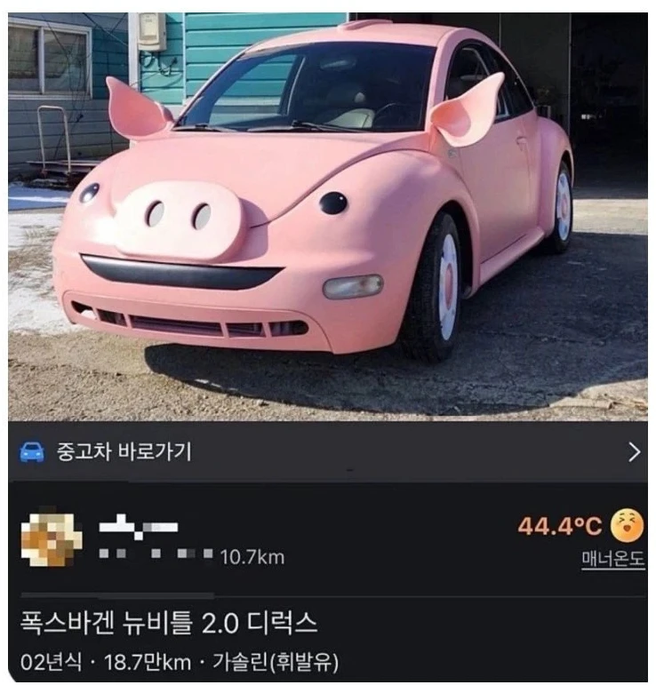 당근 중고차 레전드 매물