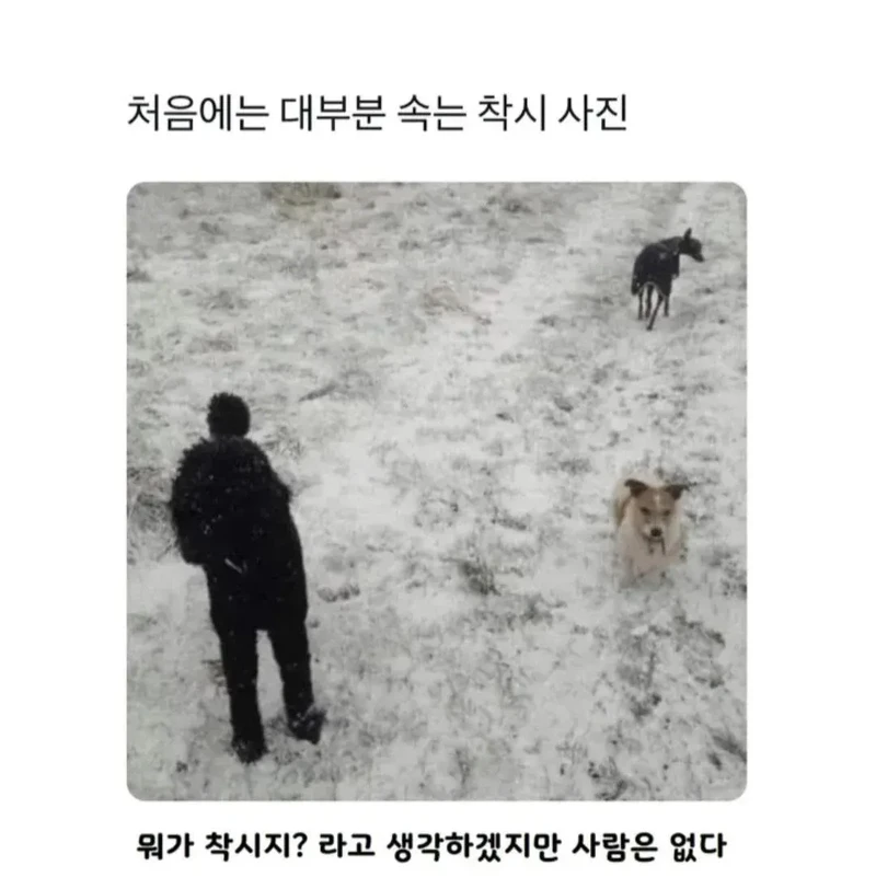 착시 사진
