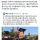 미국 명문대들이 아시아인 학생들을 잘 안뽑는 이유